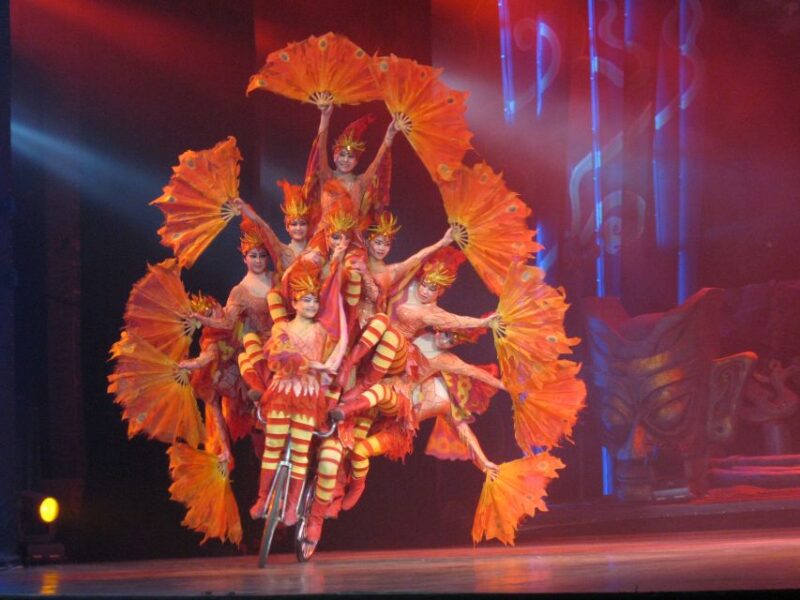Beijing Night Tour With Acrobatics Show & Pekingduck Dinner - Key Points