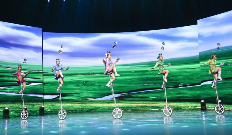 Beijing Night Tour With Acrobatics Show & Pekingduck Dinner - Participant Information