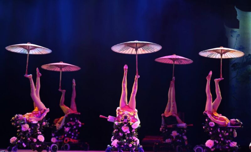 Beijing Night Tour With Acrobatics Show & Pekingduck Dinner - Important Notes