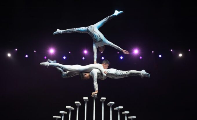 Beijing Night Tour With Acrobatics Show & Pekingduck Dinner - Customer Feedback
