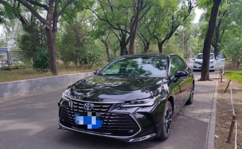 Beijing: Private Arrival Transfer From Airport to Hotel - Driver Information
