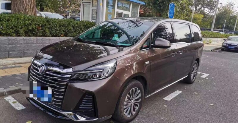 Beijing: Private Car or Minibus Rental With Driver - Language Options