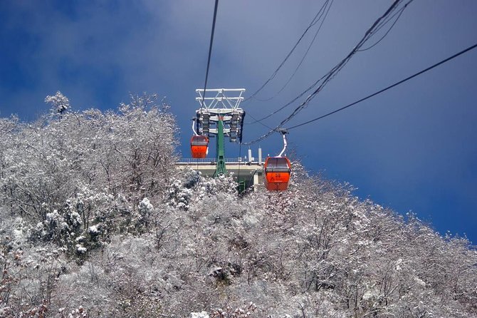 Beijing Private Tour to Mutianyu Great Wall and China Aviation Museum - Personalized Guiding Experiences