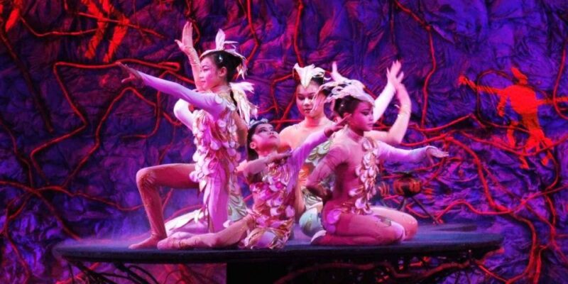 Beijing: Red Theater Acrobatic Show Tickets - Key Points