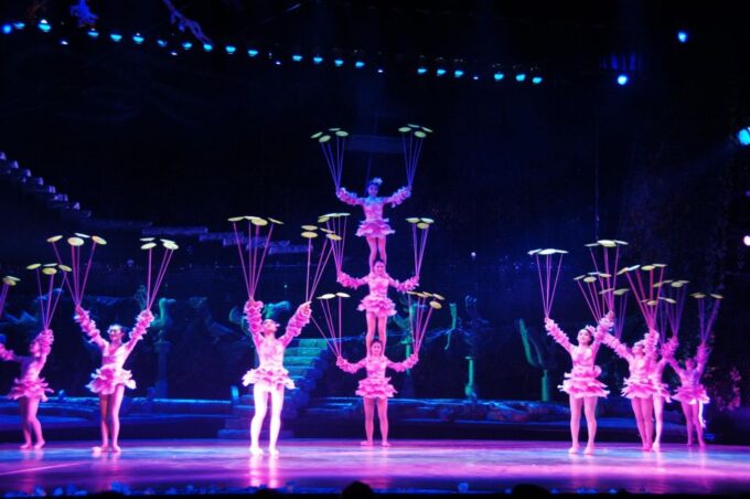 Beijing: Red Theater Acrobatic Show Tickets - Timing and Punctuality