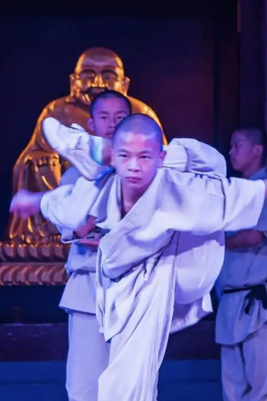 Beijing: Shaolin Temple Day Tour by Round Trip Bullet Train - Important Information