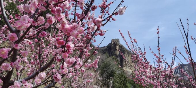 Beijing Small Group Tour Covering 3 Section Great Walls - Inclusions