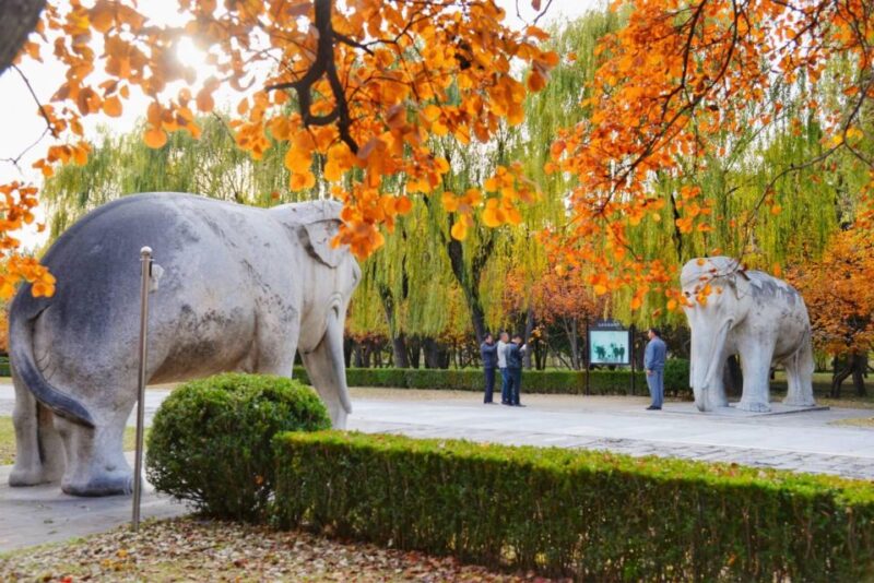 Beijing: Summer Palace Sacred Road & Ming Tombs Private Tour - Customer Experience
