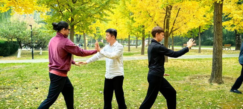 Beijing Tai Chi and Tea Ceremony Experience - Group and Guide Details
