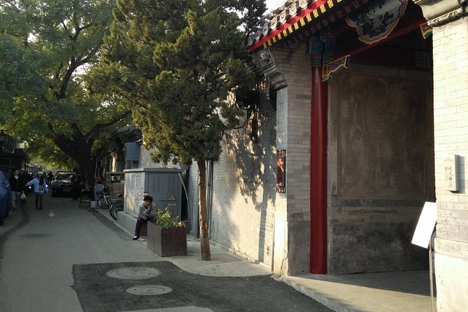 Beijing Tailored Privated Trip by English Driver-Translation APP - Pricing and Availability