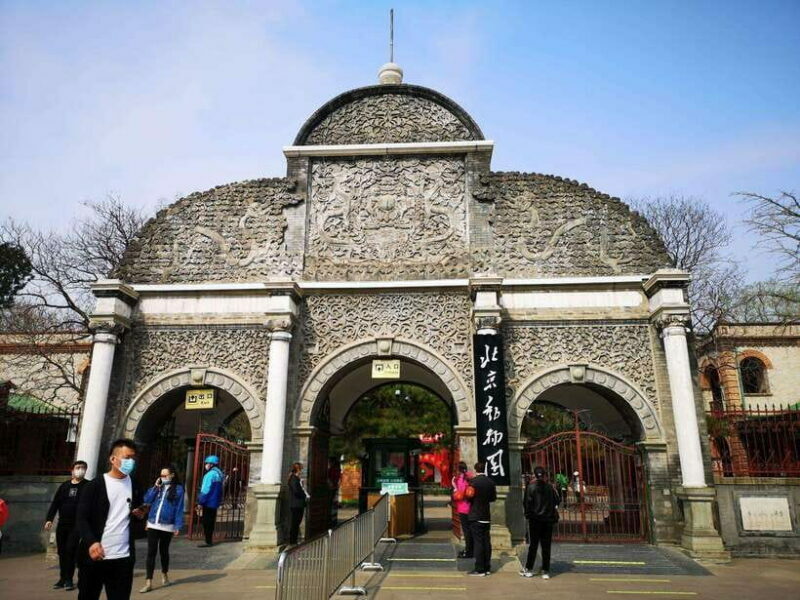 Beijing: The Beijing Zoo Entry Ticket with Pandas - The Experience of Visiting
