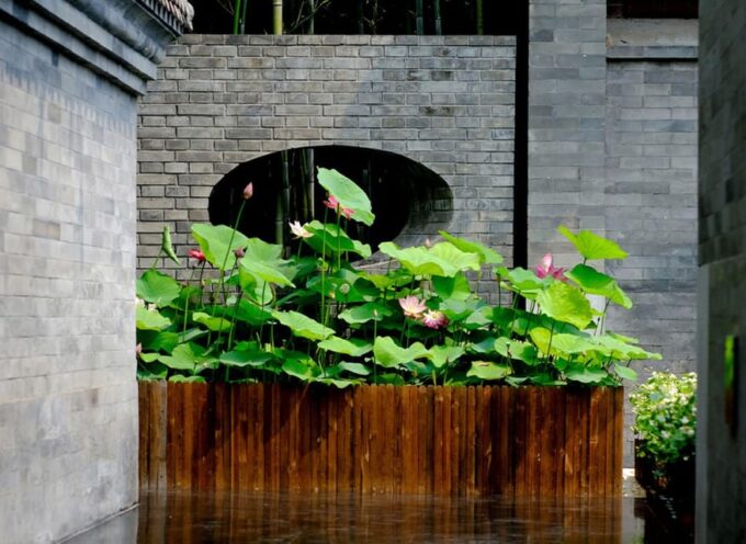 Beijing: Top Michelin Vegetarian Restaurant Reservation - Dining Experience Duration