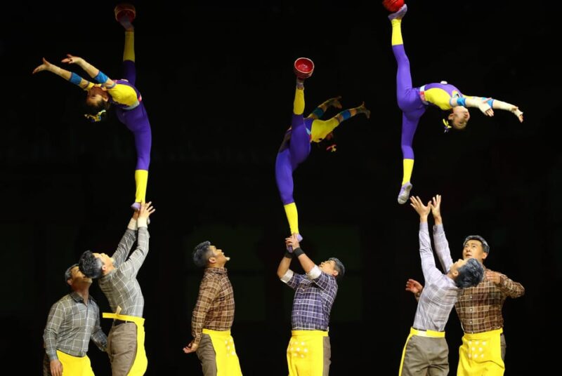 Beijing Trip Of Acrobtics Show ( With Different Option) - Inclusions and Exclusions