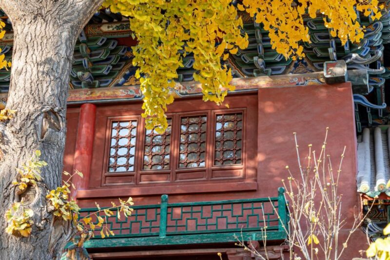 Beijing's Hidden Delights: Dong Si Hutong Food Tour - Itinerary and Highlights