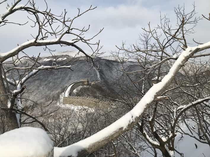 Beijng 1 Day Tour to Mutianyu Great Wall & Forbidden City - Itinerary Highlights