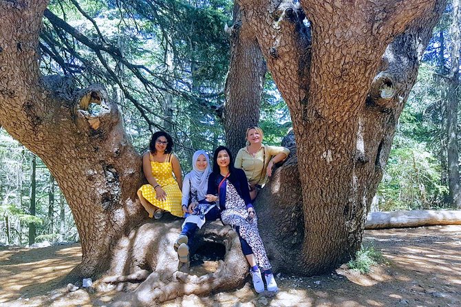 Beirut to Qadisha Valley, Bcharri & Cedar: Daily Tours With Lunch - Exploring Qadisha Valley