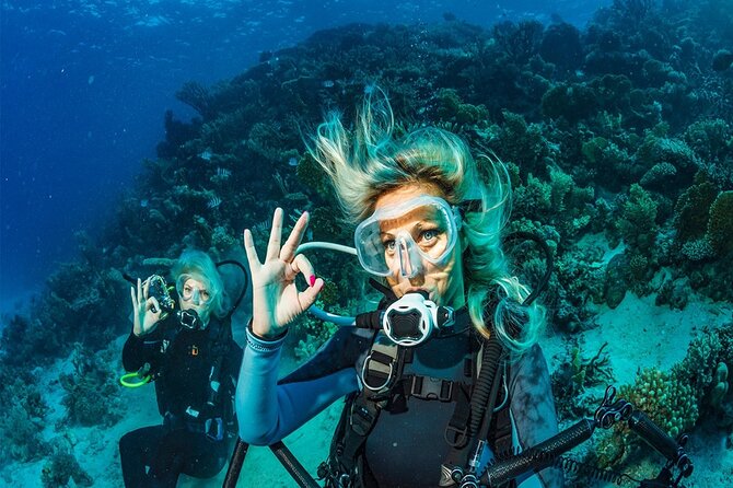 Belek Scuba Diving Experience (2 Dives) With Lunch - Preparing for the Dive