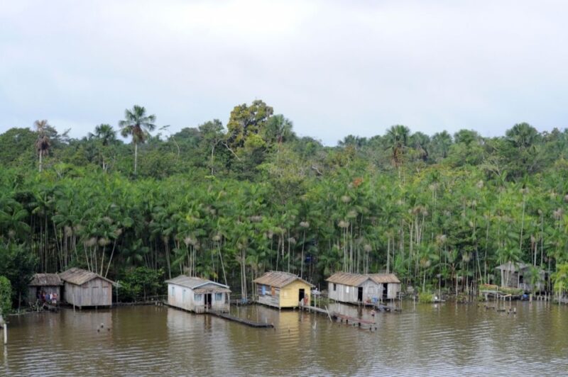 Belém: Full-Day Furos & Igarapé Boat Tour With Lunch - Key Points