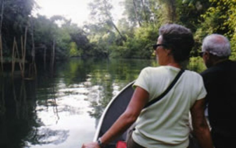 Belém: Full-Day Furos & Igarapé Boat Tour With Lunch - Inclusions