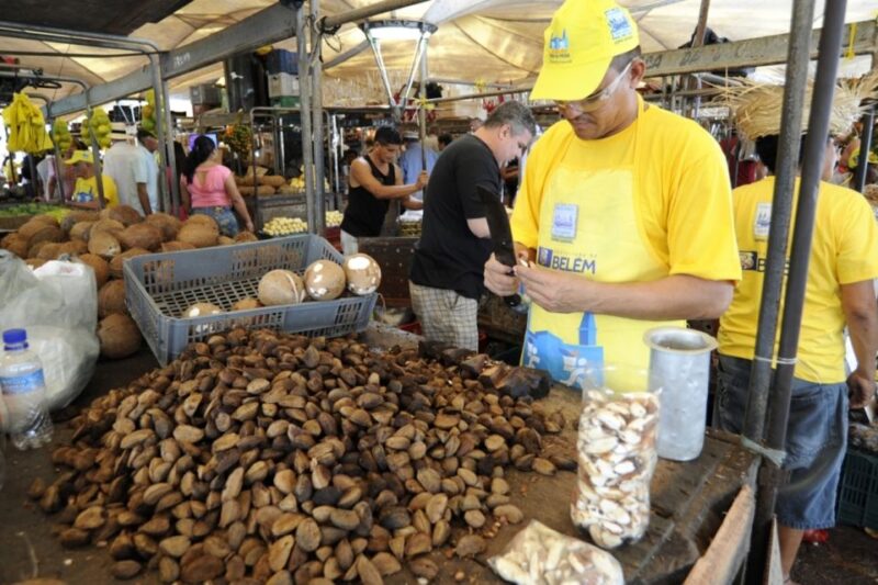 Belém: Half-Day City Tour With Ver-O-Peso Market Visit - Tour Overview
