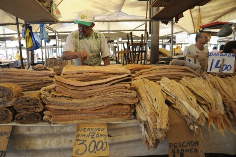 Belém: Half-Day City Tour With Ver-O-Peso Market Visit - Feliz Lusitânia Complex