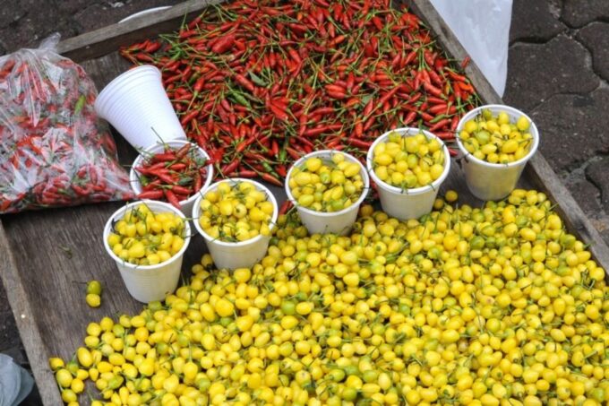 Belém: Half-Day City Tour With Ver-O-Peso Market Visit - Important Considerations