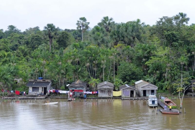 Belém: Half-Day Furos Boat Tour & Riverside Community Visit - Included in the Tour