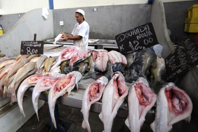 Belém: Ver-O-Peso Market and Full-Day City Tour With Lunch - Flexible Booking and Cancellation Policy
