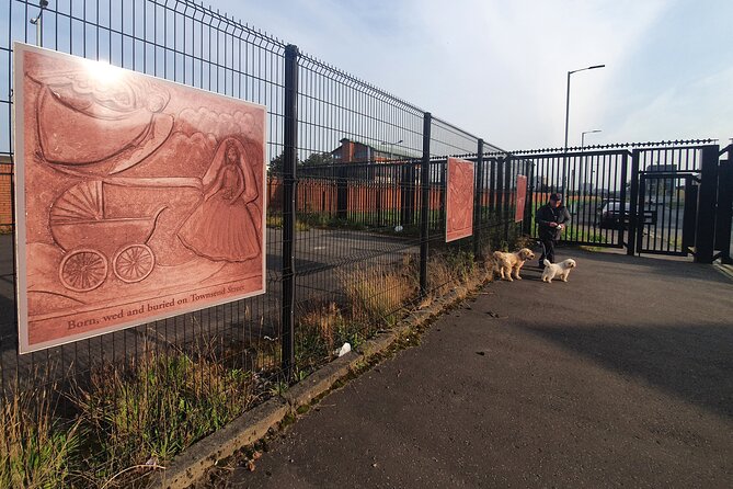 Belfast Cab Tour of Peacewalls, Murals and the Famous Titanic Slips - Discovering Murals and History