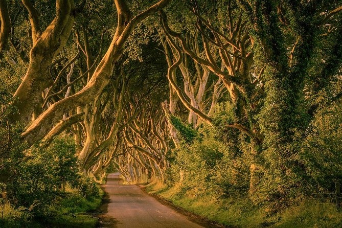 Belfast - Giants Causeway , Dunluce Castle and Dark Hedges - Accessibility and Restrictions