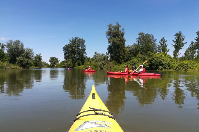 Belgrade Amazon Kayak Adventure - Suitability for Travelers