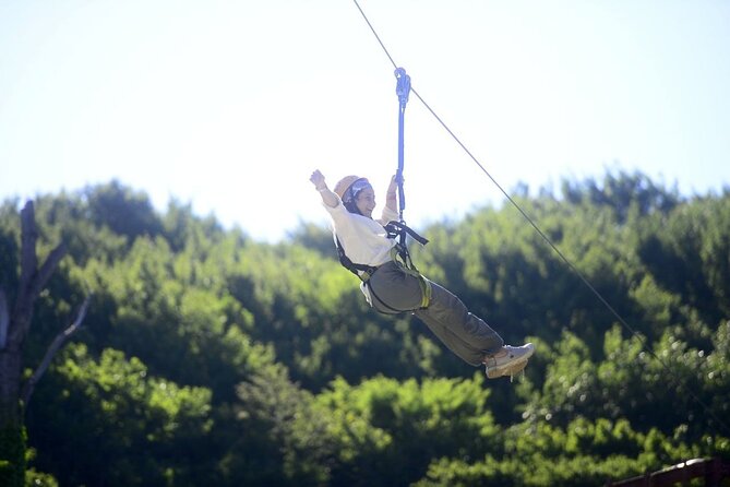 Belgrade Forest Discovery by ATV and Zipline With Transfer - Health and Safety Considerations