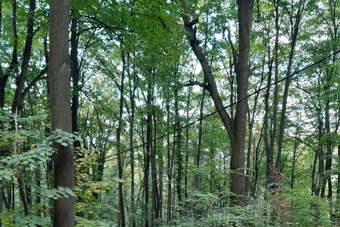 Belgrade Hiking Tour On Mountain Avala - Hiking Guide Expertise