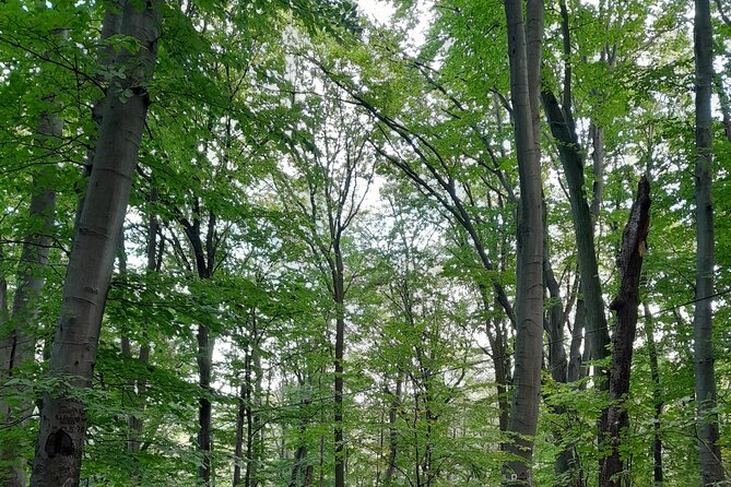 Belgrade Hiking Tour On Mountain Avala - Preparing for the Hike