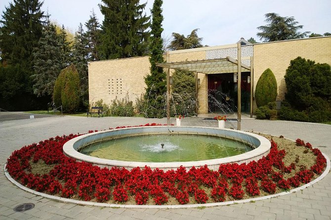 Belgrade Private Driving & Walking Tour - Prince Milos Street