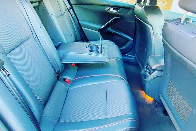 Belgrade to Kopaonik Private Taxi Transfer (City or the Airport) - Vehicle and Amenities