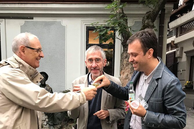 Belgrade Walking Tour in French - Inclusions and Accessibility