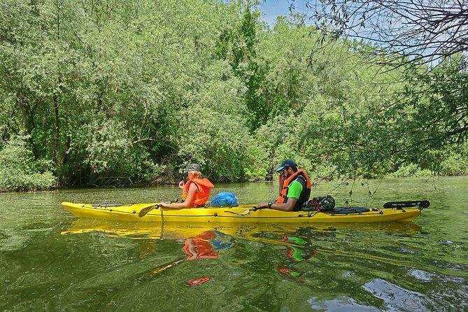 Belgrade War Island Kayak Tour - Inclusive Tour Details