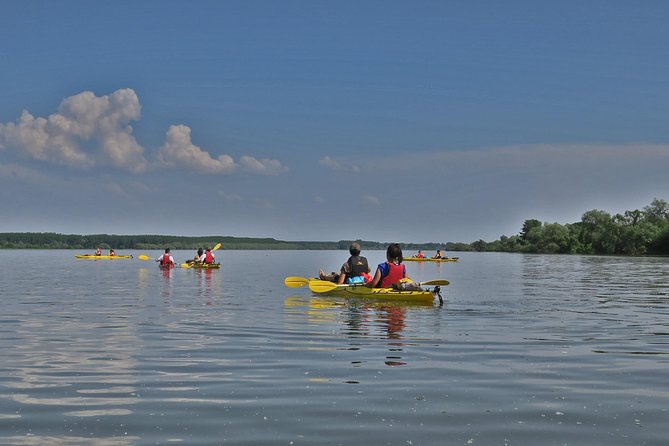 Belgrade War Island Kayak Tour - Meeting and Pickup Information