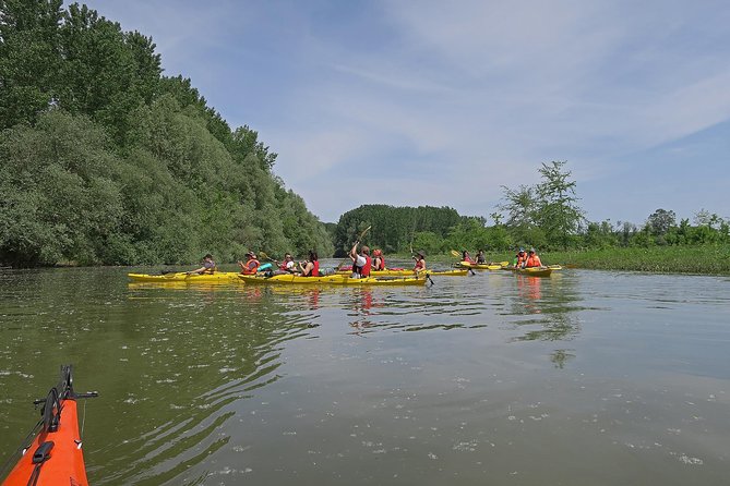 Belgrade War Island Kayak Tour - Exploring Veliki Galijas Canal-Lake