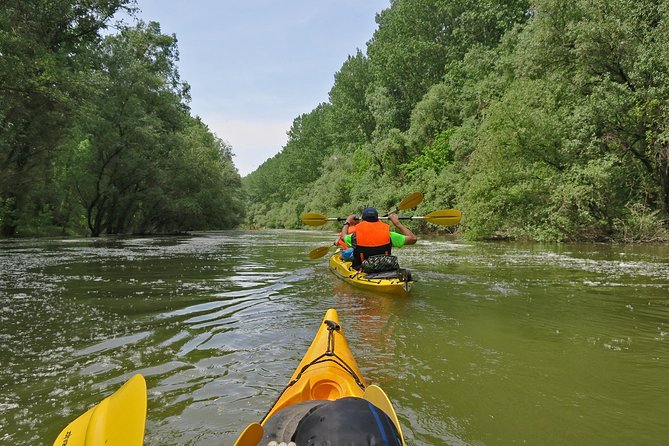 Belgrade War Island Kayak Tour - Tranquil Waters and Belgrade Skyline