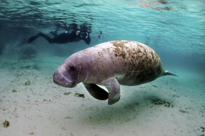 Belize: See & Experience It ALL in 10 Days, 1st Class Custom Tours - Key Points