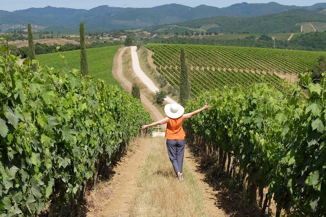Bella Toscana Private Tour: 2 Chianti Wineries and San Gimignano From Livorno - Inclusions