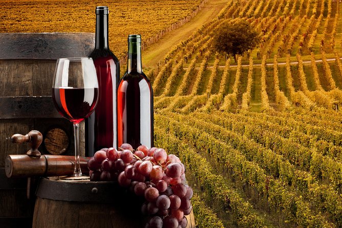 Bella Toscana Private Tour: 2 Chianti Wineries and San Gimignano From Livorno - Meeting and Pickup