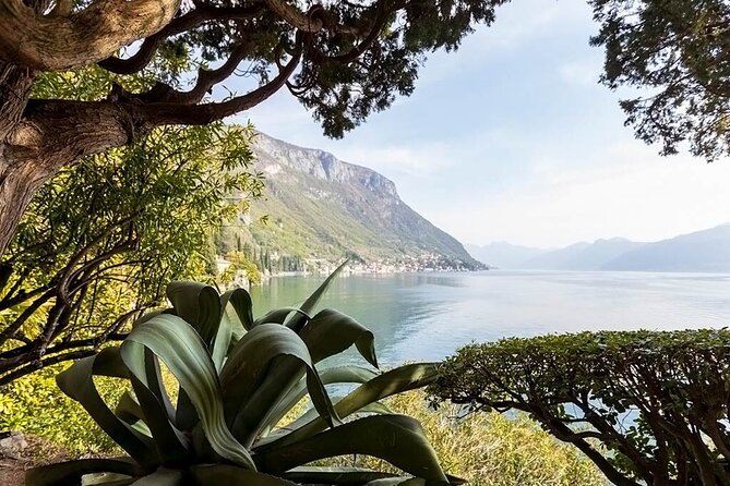 Bellagio or Varenna: Lunch or Aperitif With Shared Boat Tour - Logistics and Accessibility