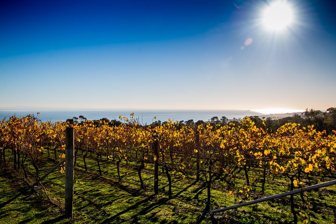 Bellarine Food and Wine Taste Trail - Inclusions