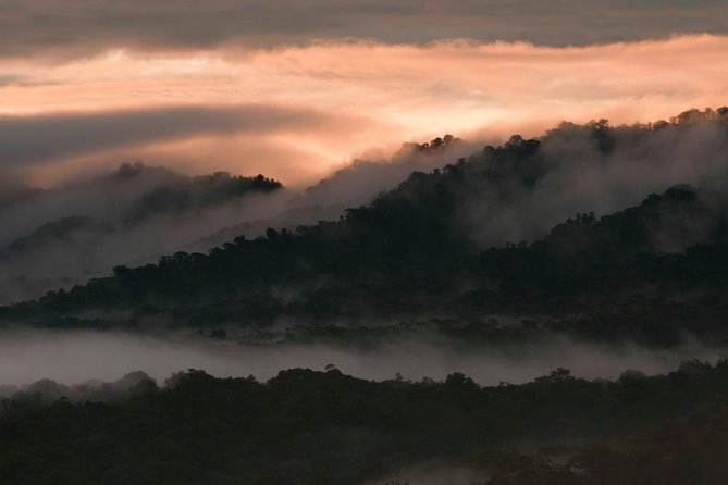 Bellavista Cloud Forest Reserve - Full Day - Key Points