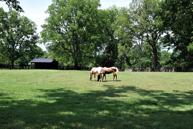 Belle Meade Guided Mansion Tour With Complimentary Wine Tasting - Bourbon Tastings