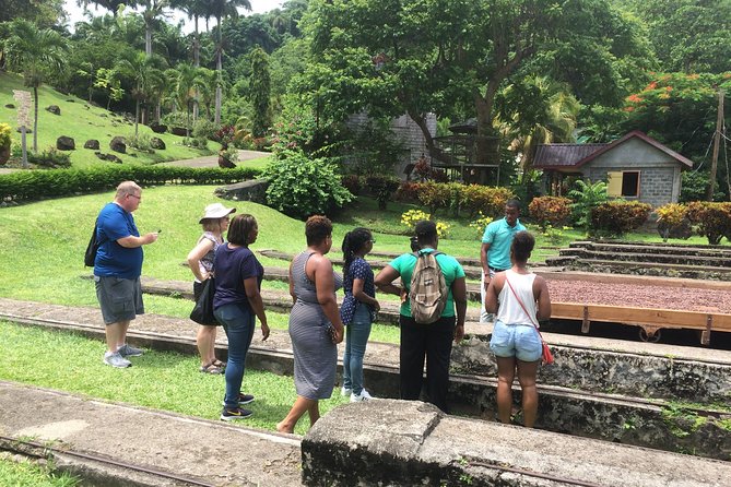Belmont Estate Heritage Tour - Traveler Feedback and Ratings