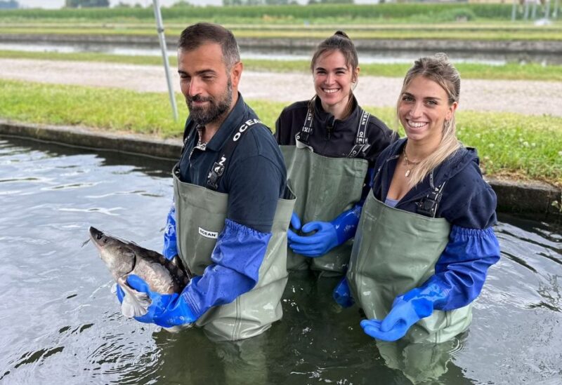 Beluga Caviar Tour - Cancellation Policy
